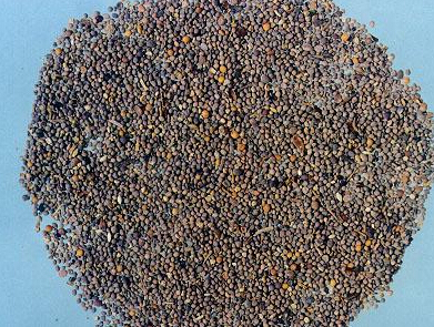 ����֬�Ĺ�Ч������