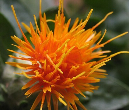 �غ컨�Ĺ�Ч������