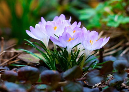 �غ컨�Ĺ�Ч������