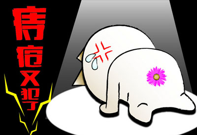 �̴���������Ʒ���