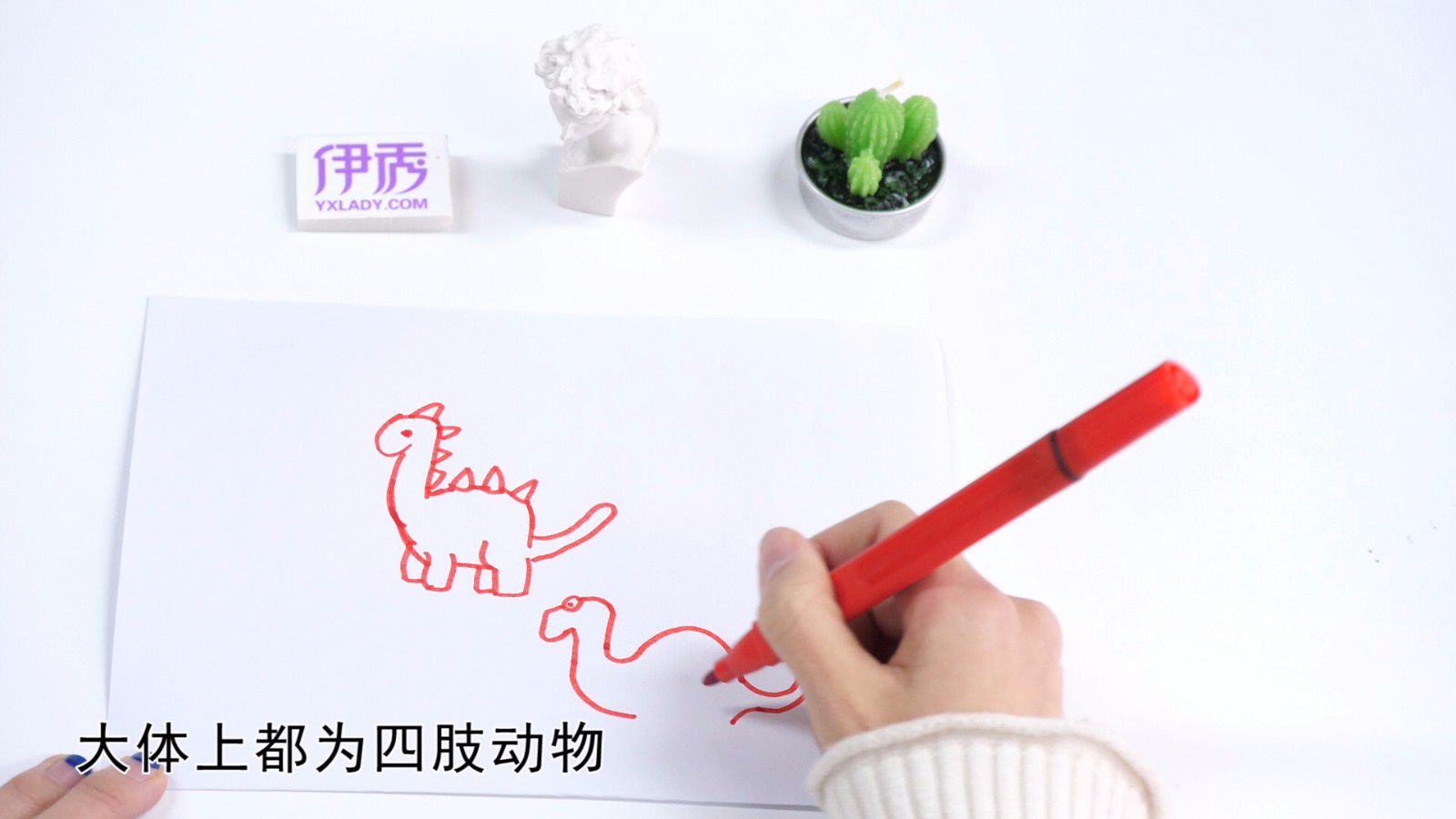 ������ʻ�