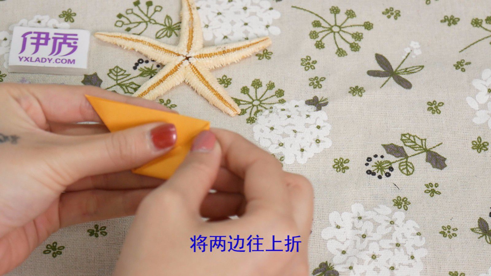 ������ֽ