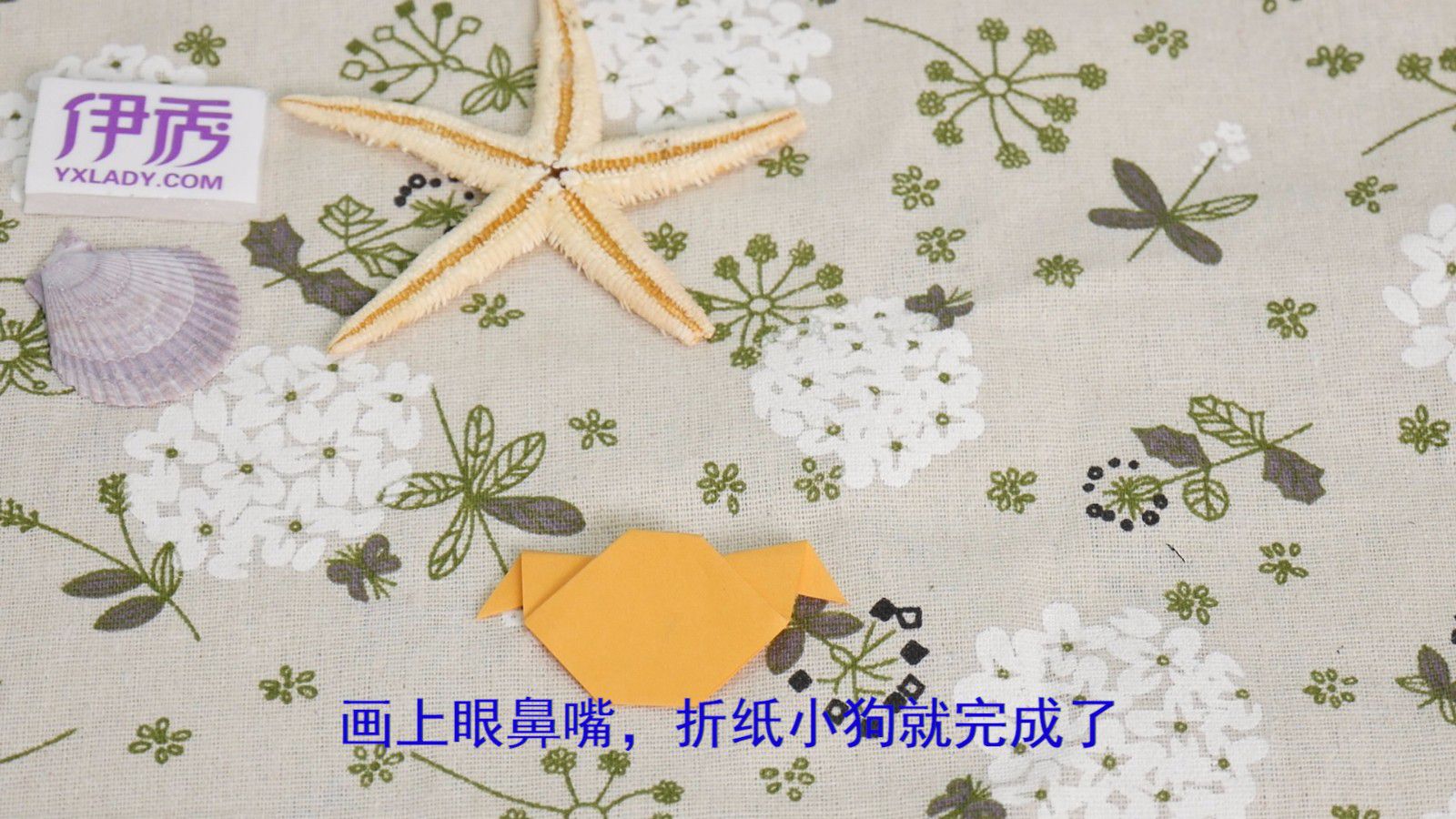 ������ֽ