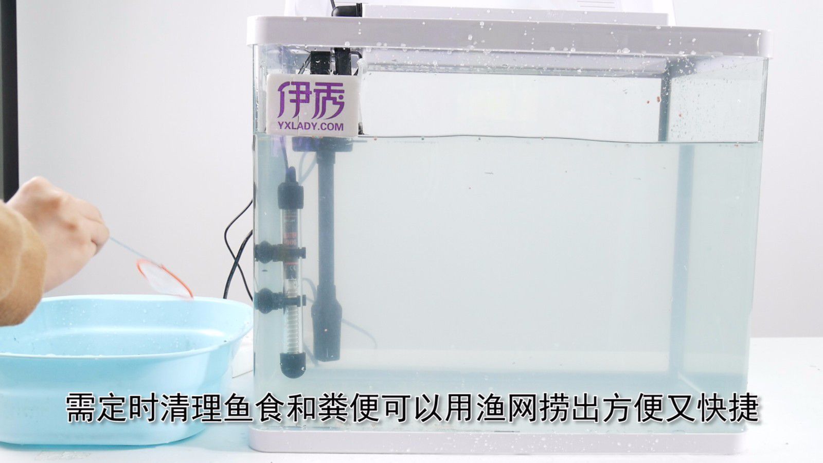 鱼缸里的水发绿怎么办 解决办法你真的知道吗 鱼缸里的水发绿怎么办