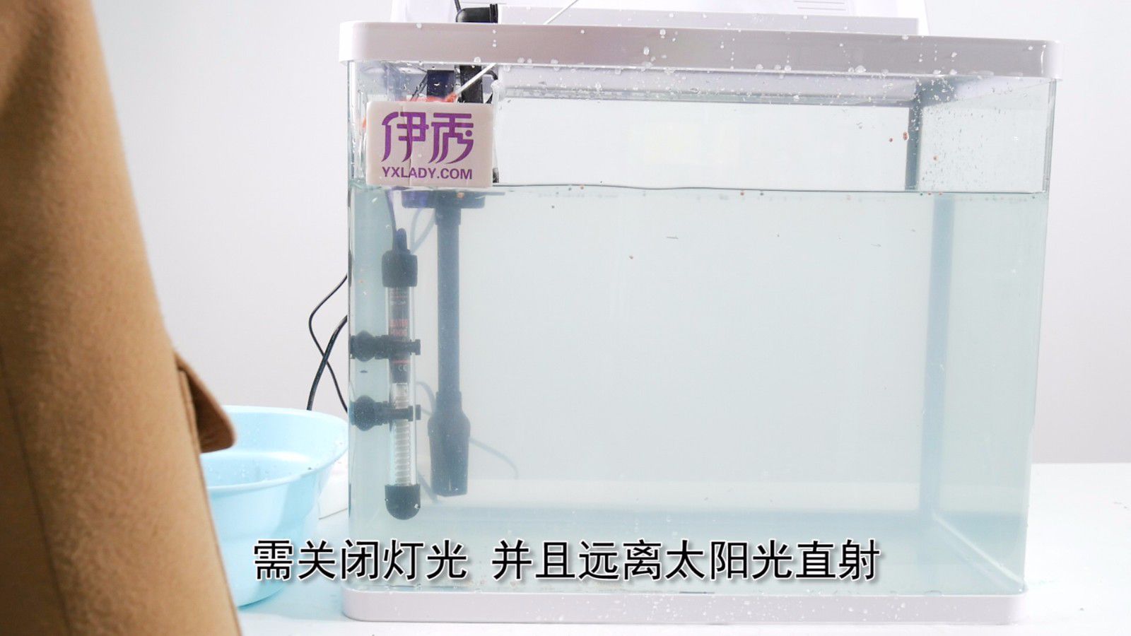 鱼缸里的水发绿怎么办 解决办法你真的知道吗 鱼缸里的水发绿怎么办