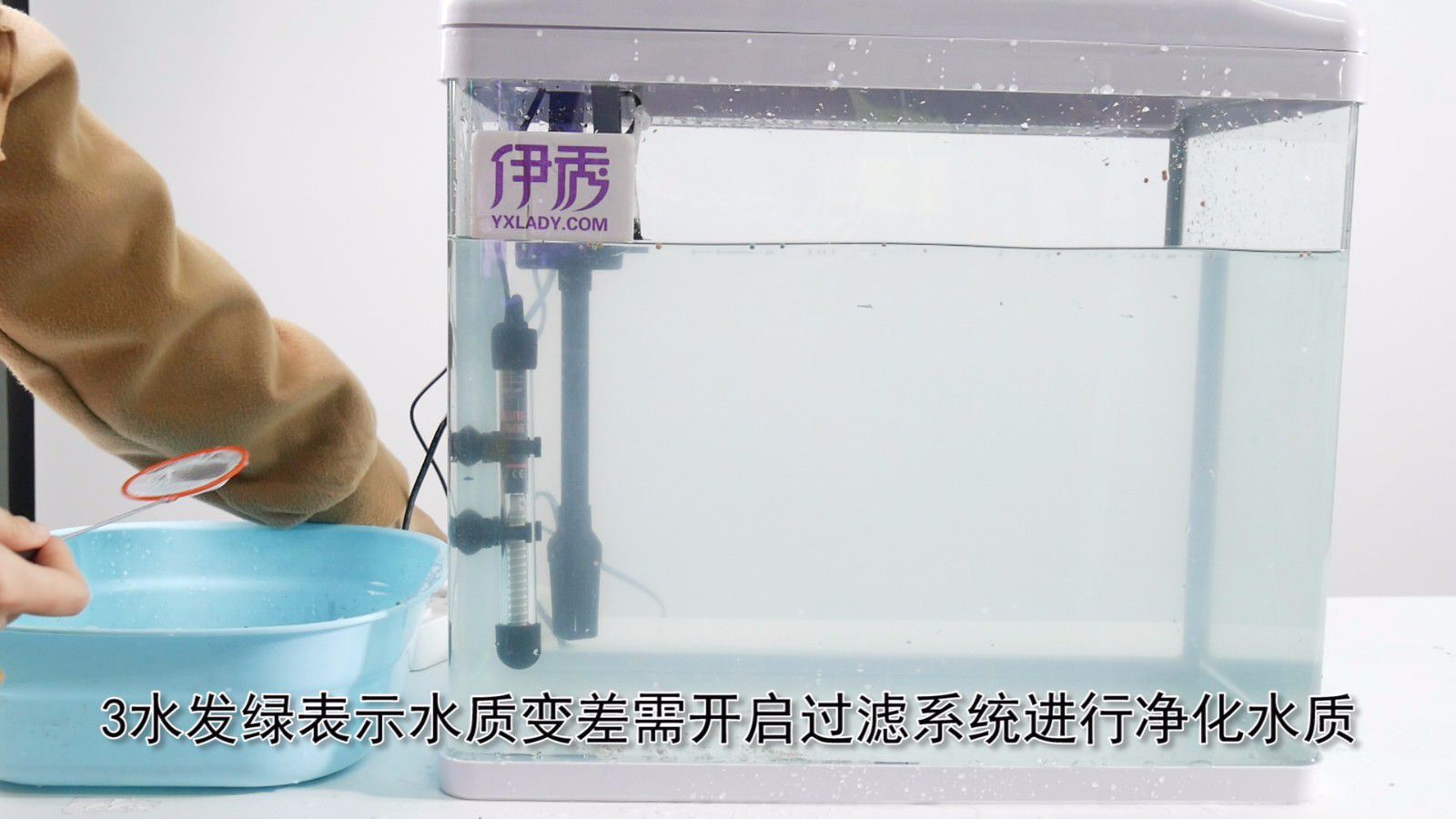 鱼缸里的水发绿怎么办 解决办法你真的知道吗 鱼缸里的水发绿怎么办