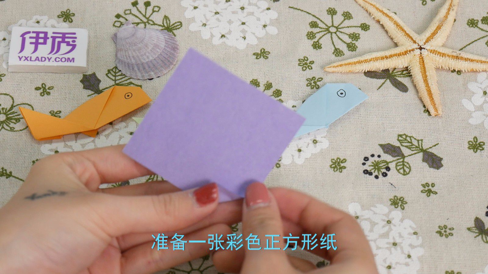 ���׶�԰�ֹ�����