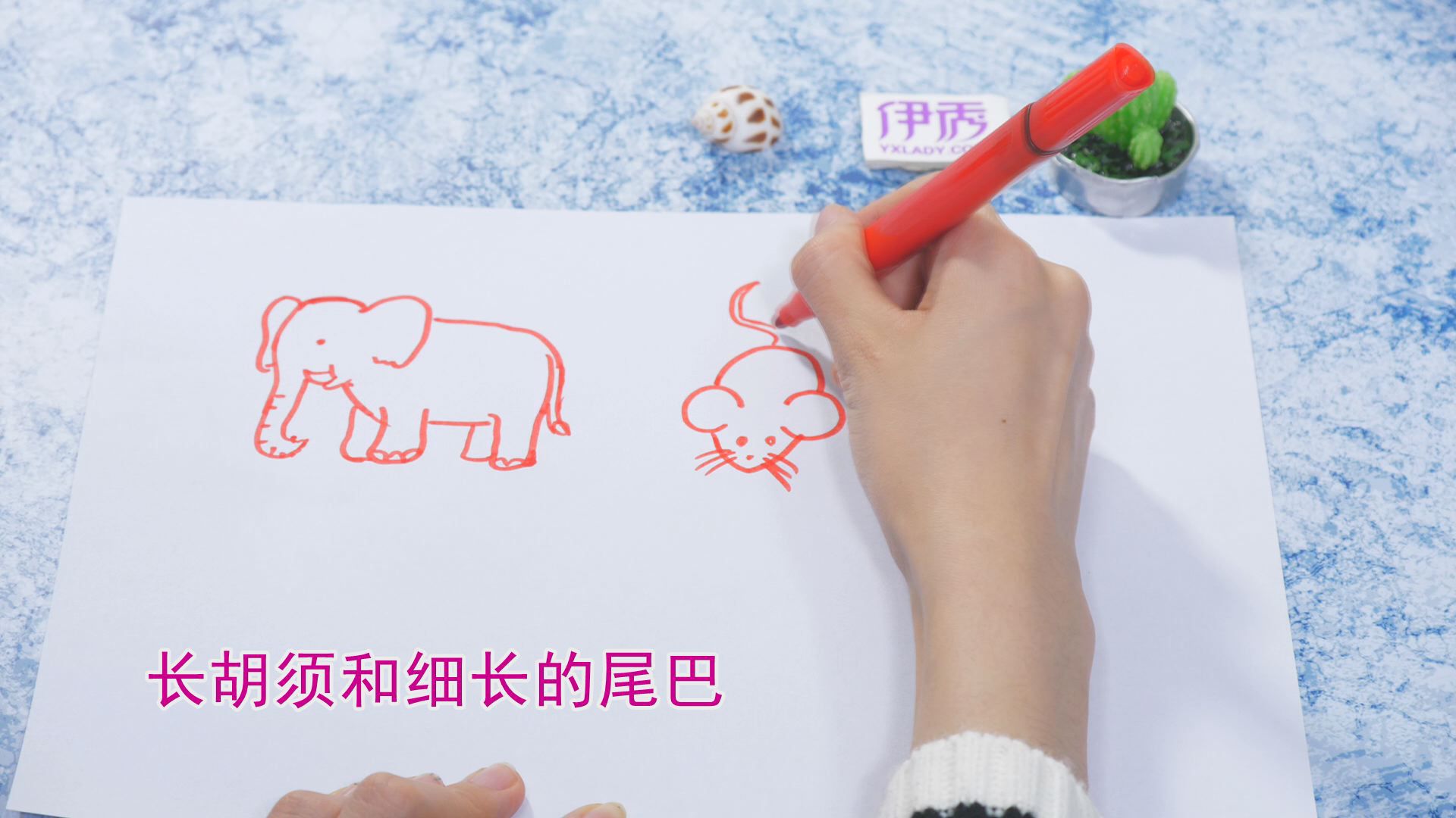 ����ļ�ʻ�|��ʻ���ȫ|�����ʻ���ȫ|