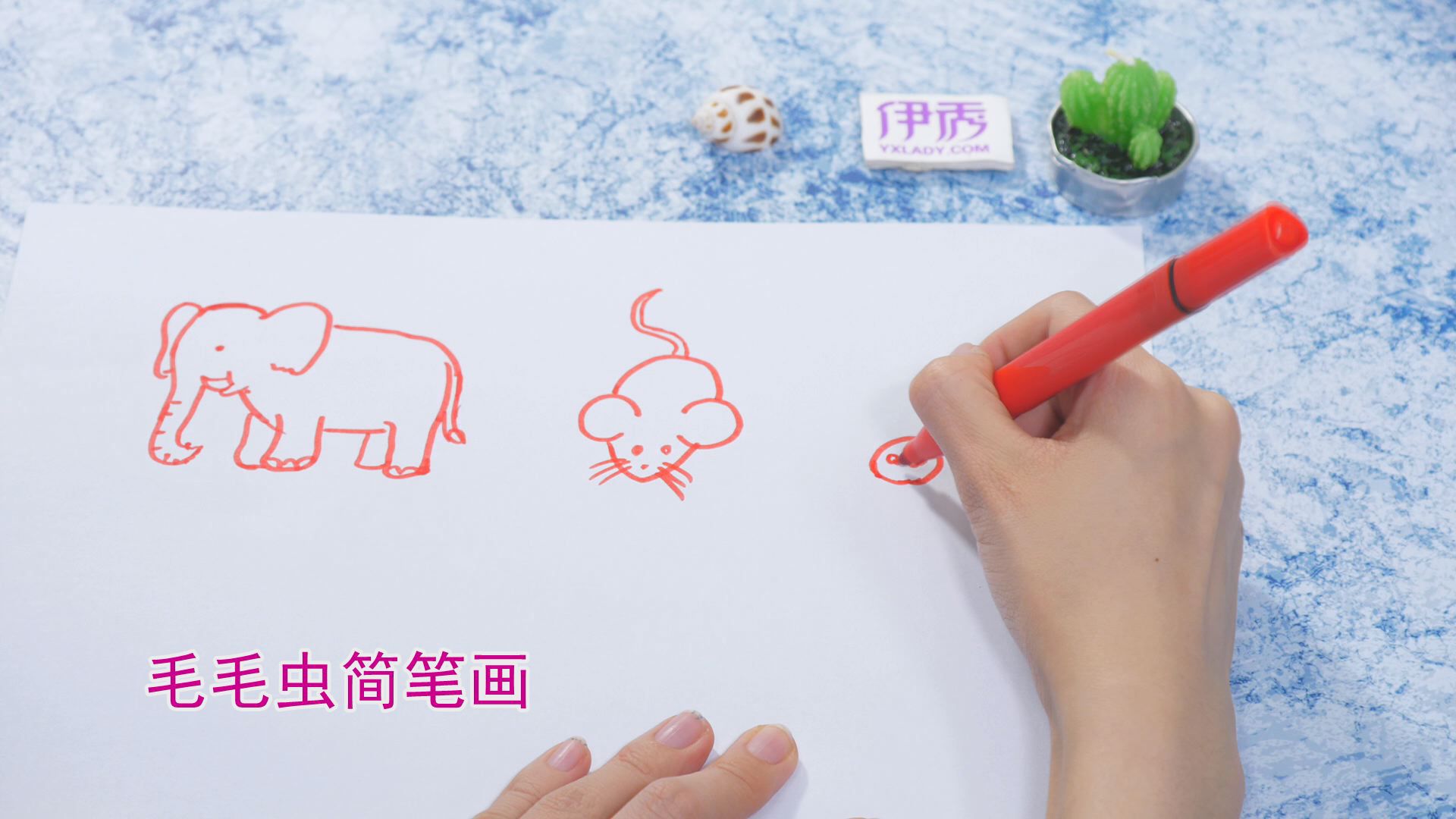 ����ļ�ʻ�|��ʻ���ȫ|�����ʻ���ȫ|