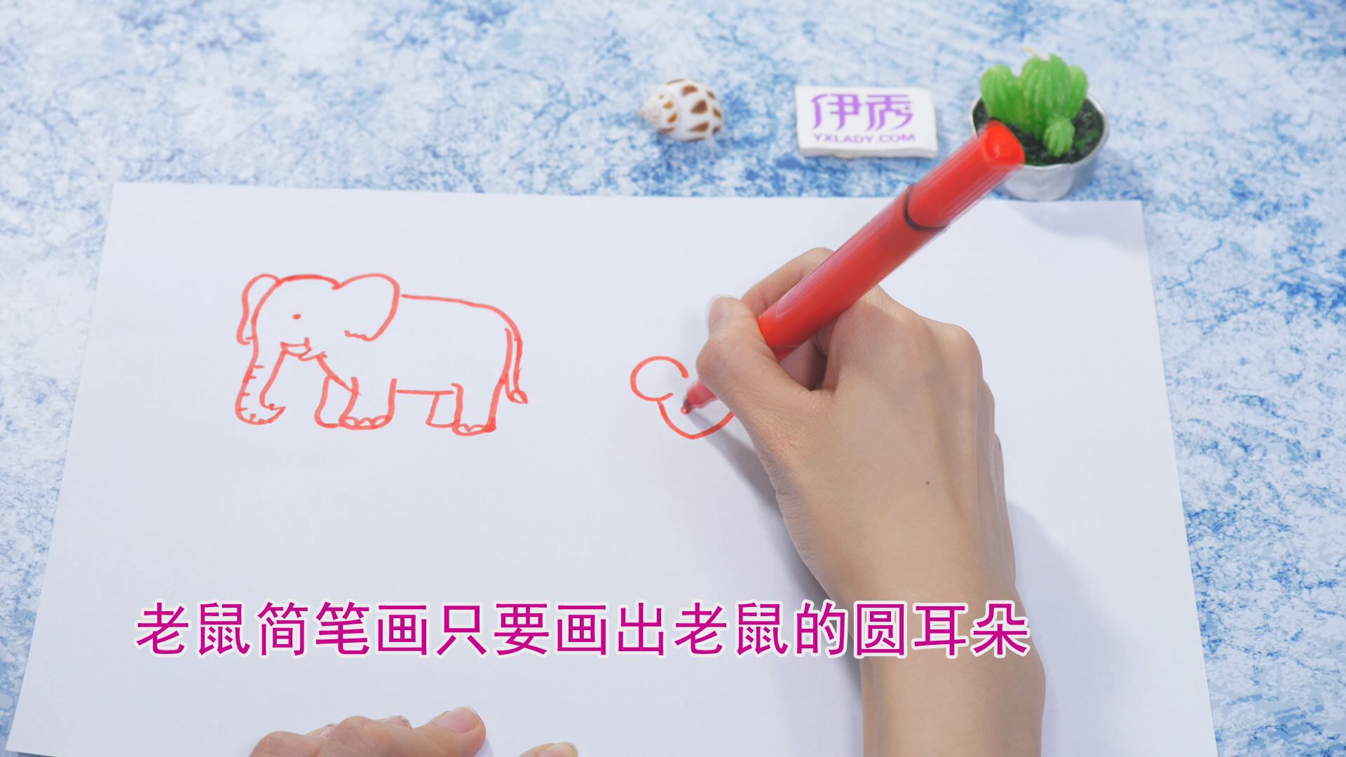 ����ļ�ʻ�|��ʻ���ȫ|�����ʻ���ȫ|