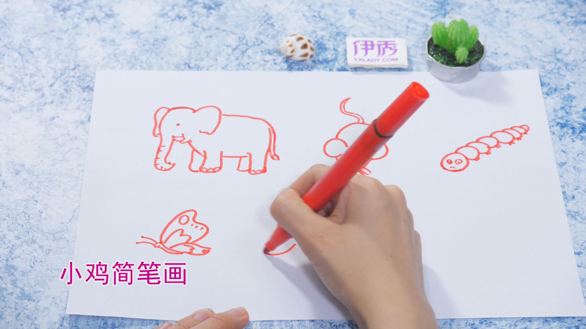 ����ļ�ʻ�|��ʻ���ȫ|�����ʻ���ȫ|