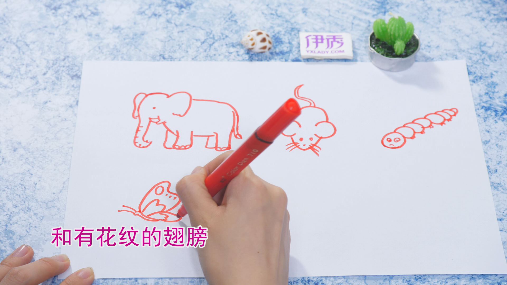 ����ļ�ʻ�|��ʻ���ȫ|�����ʻ���ȫ|