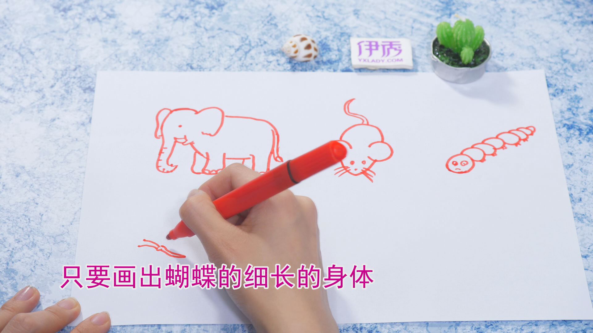 ����ļ�ʻ�|��ʻ���ȫ|�����ʻ���ȫ|