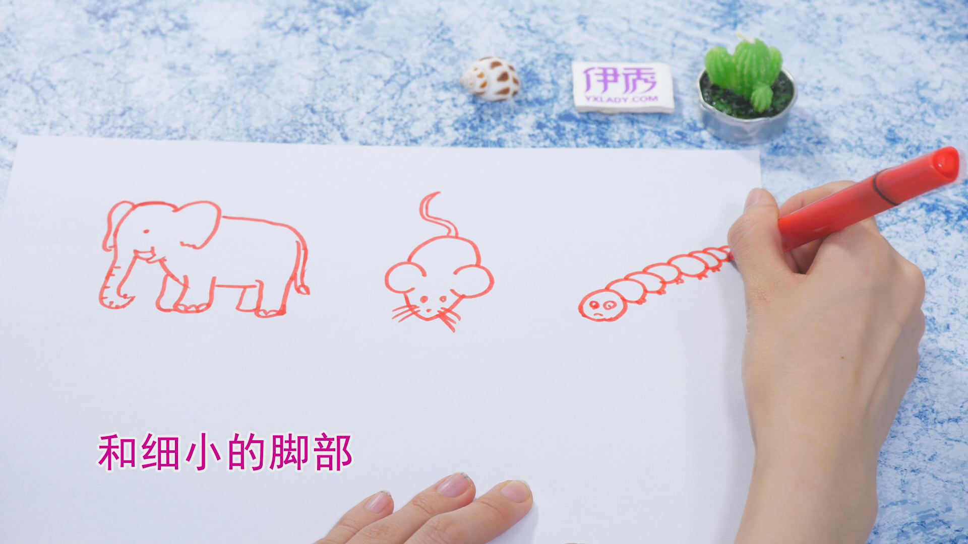 ����ļ�ʻ�|��ʻ���ȫ|�����ʻ���ȫ|