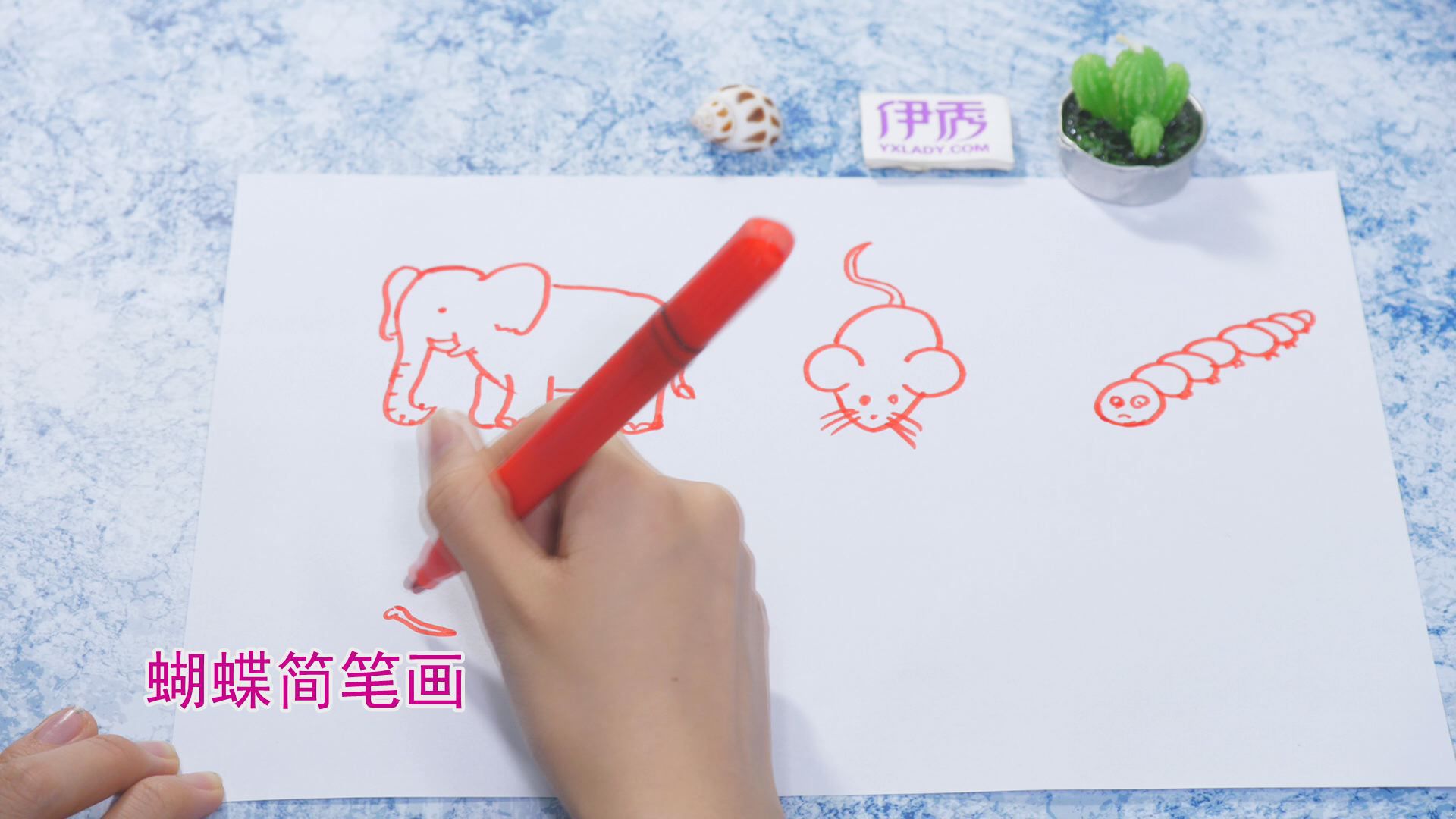 ����ļ�ʻ�|��ʻ���ȫ|�����ʻ���ȫ|