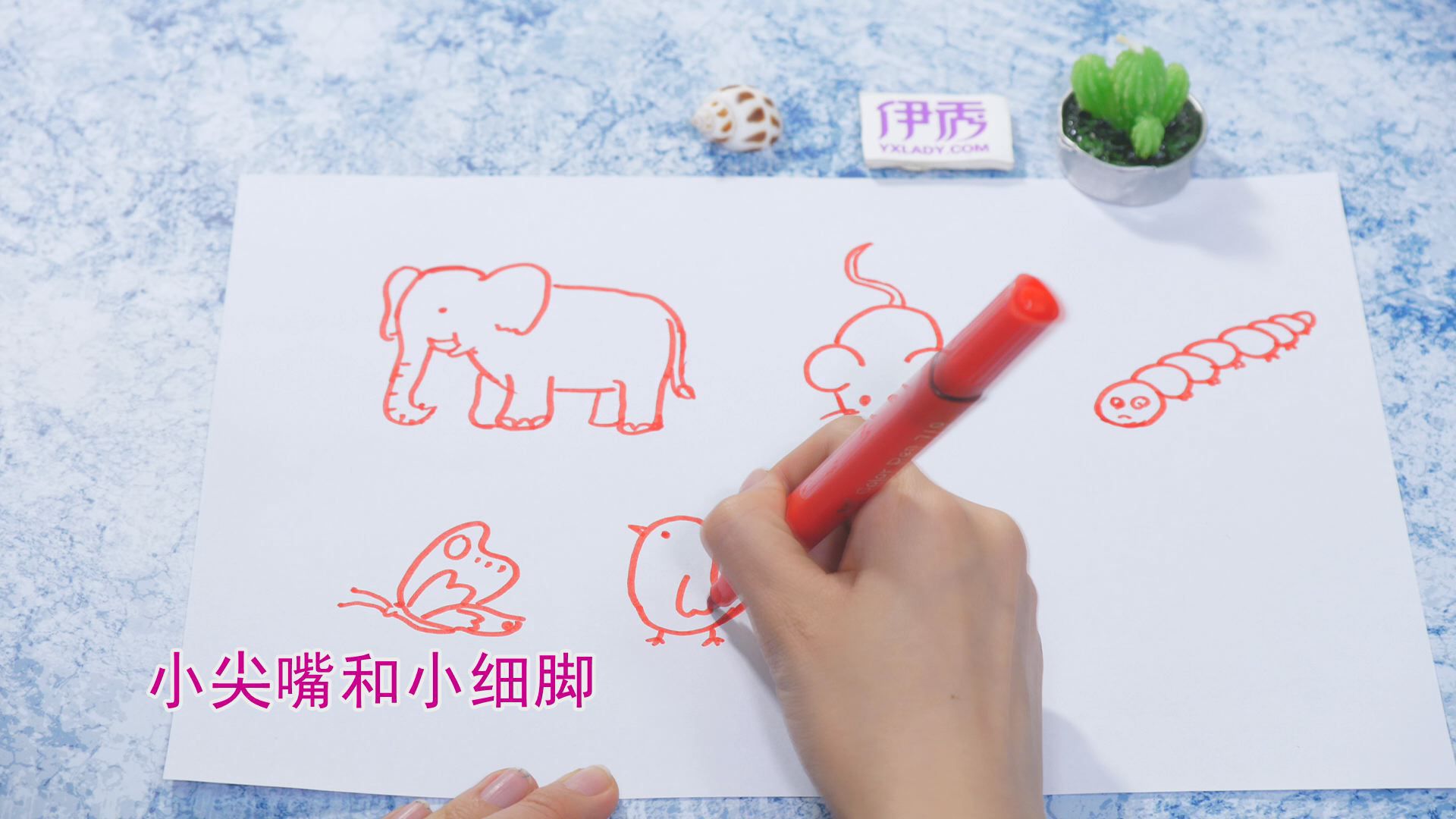 ����ļ�ʻ�|��ʻ���ȫ|�����ʻ���ȫ|