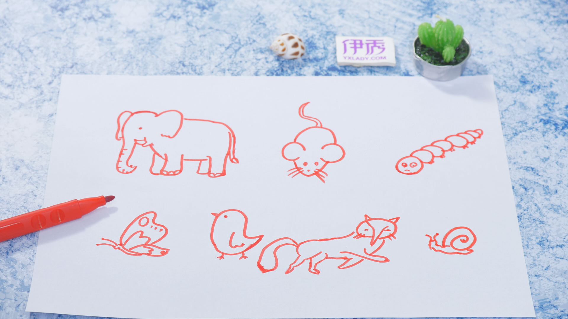 ����ļ�ʻ�|��ʻ���ȫ|�����ʻ���ȫ|