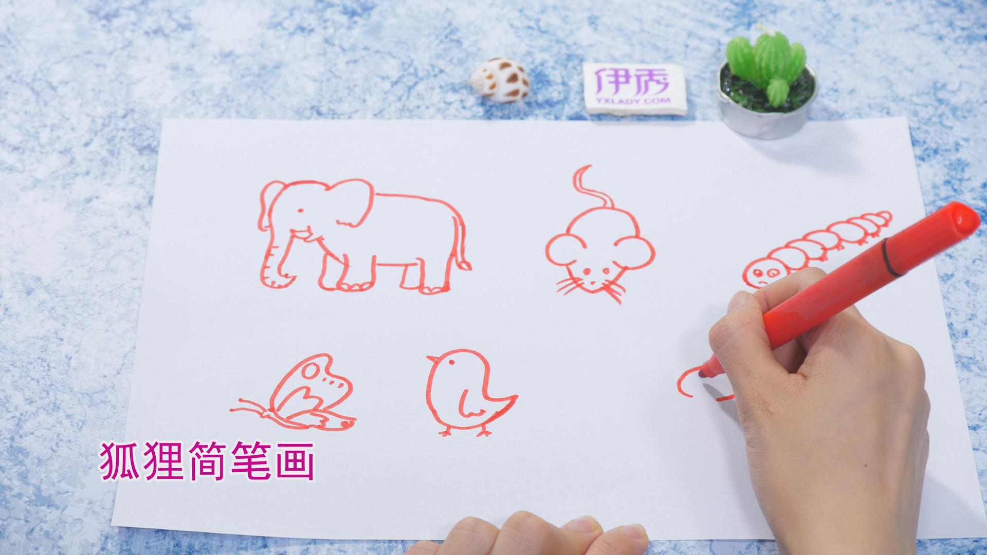 ����ļ�ʻ�|��ʻ���ȫ|�����ʻ���ȫ|