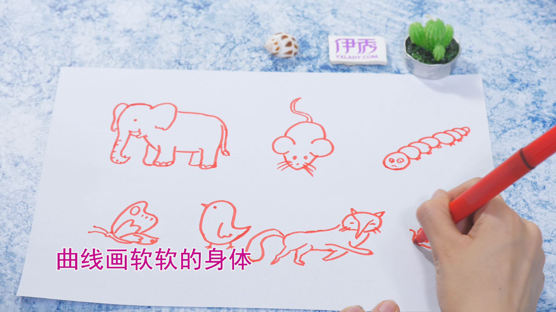 ����ļ�ʻ�|��ʻ���ȫ|�����ʻ���ȫ|