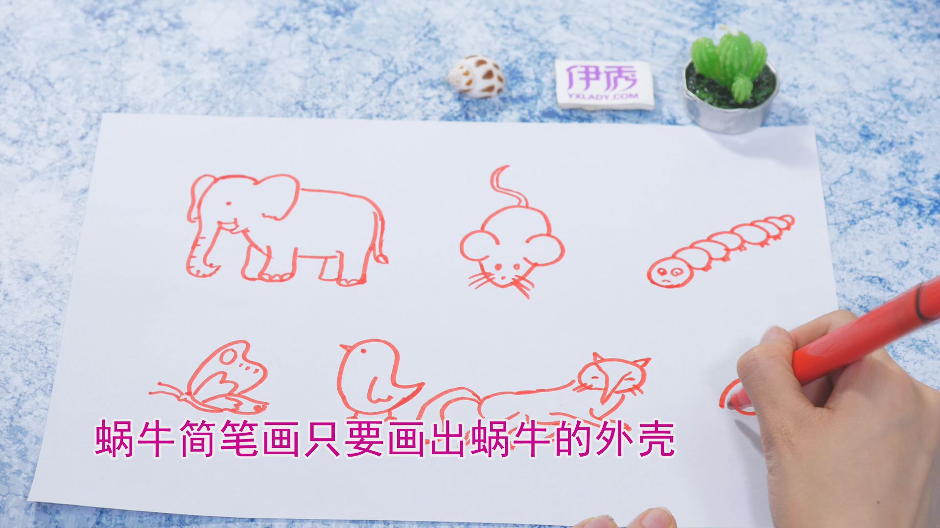 ����ļ�ʻ�|��ʻ���ȫ|�����ʻ���ȫ|