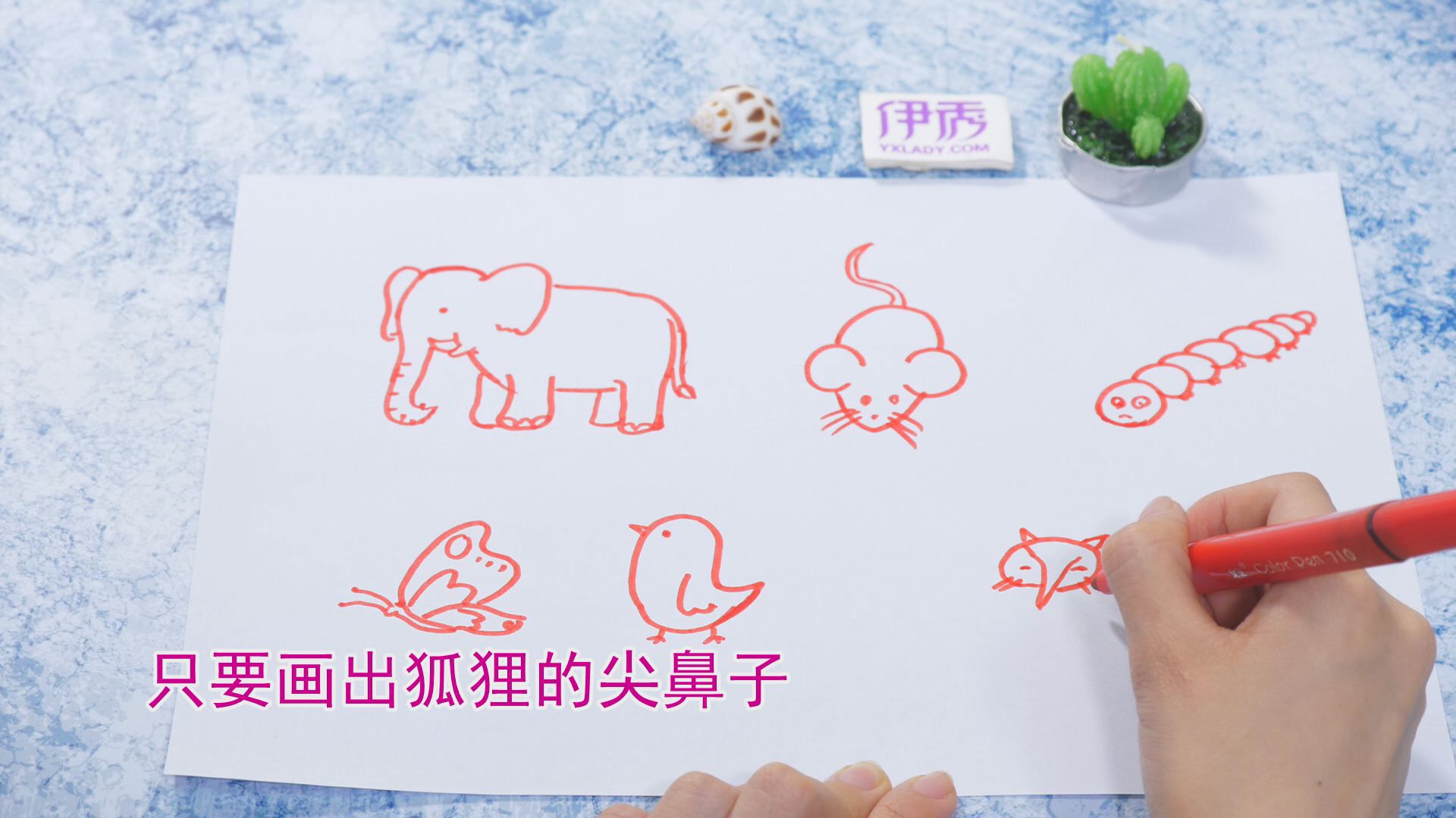 ����ļ�ʻ�|��ʻ���ȫ|�����ʻ���ȫ|