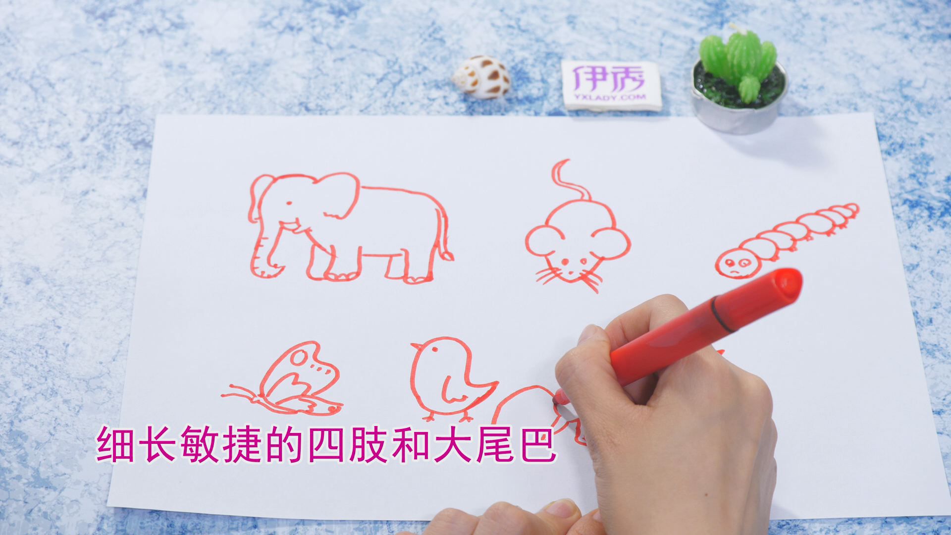 ����ļ�ʻ�|��ʻ���ȫ|�����ʻ���ȫ|