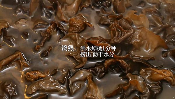 ����ľ��|����ľ��������|ľ��������|