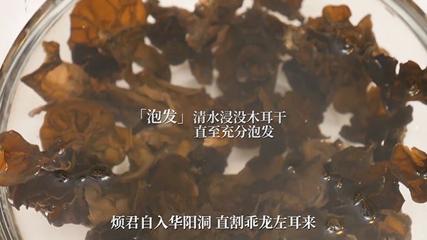 ����ľ��|����ľ��������|ľ��������|