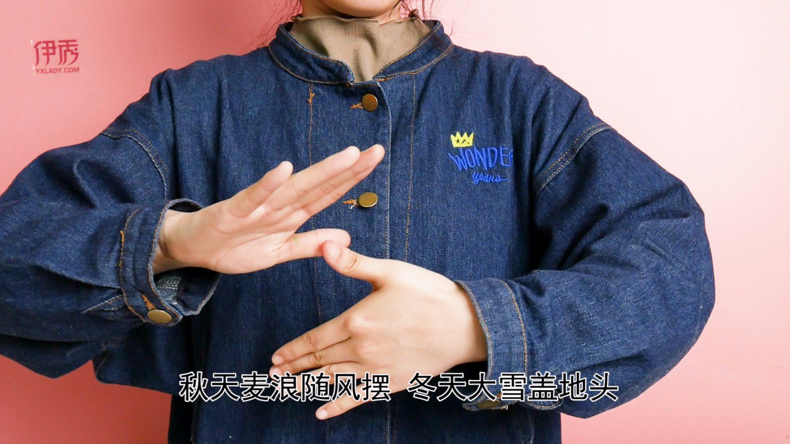 �׶�԰С����ָ��Ϸ