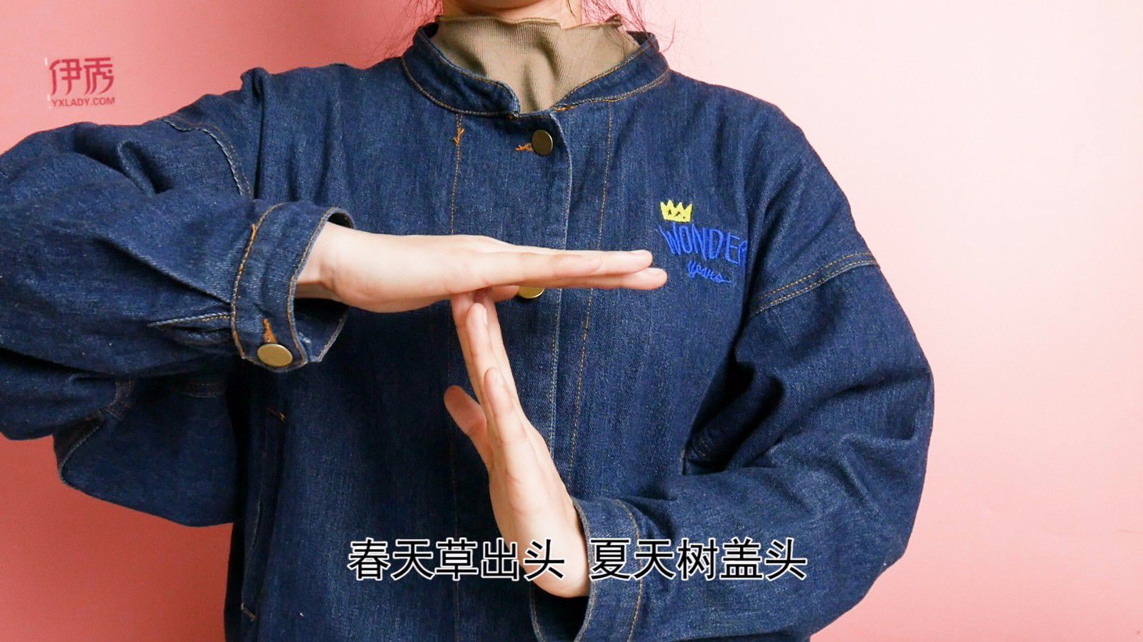 �׶�԰С����ָ��Ϸ