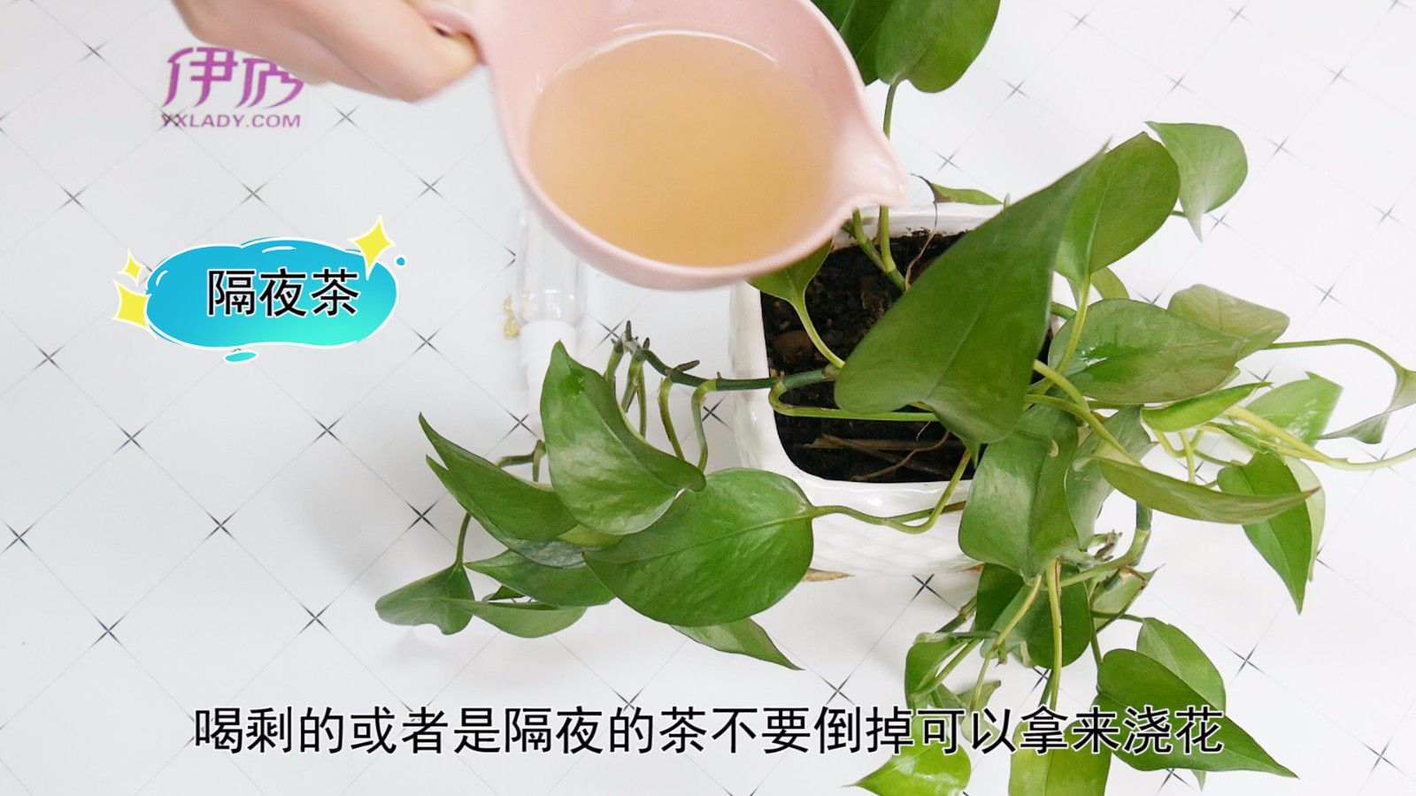 ����Ҷ�ӷ�����ô��